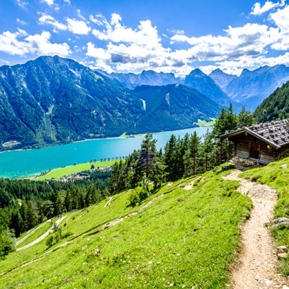 Grüne Landschaft in Tirol