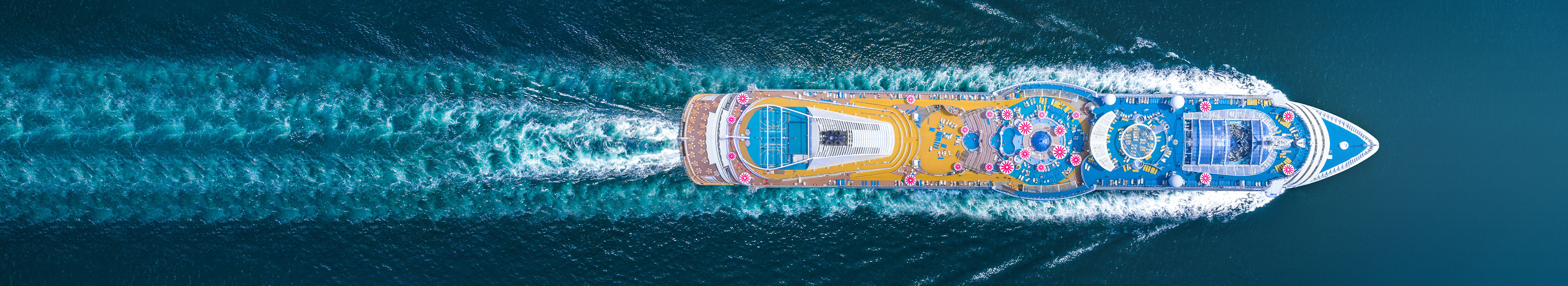 Luftaufnahme auf ein weißes Kreuzfahrtschiff auf dem Ozean.