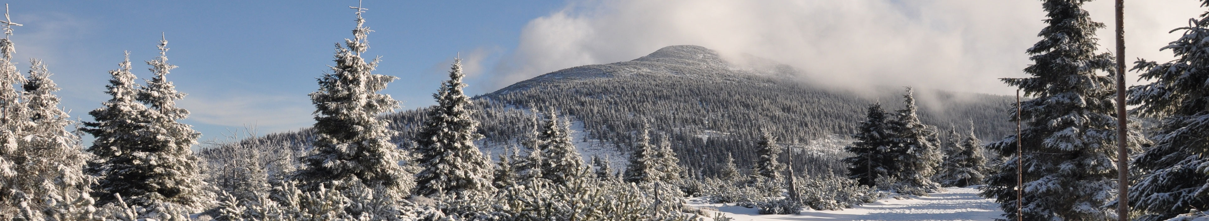 Schneelandschaft in Tschechien