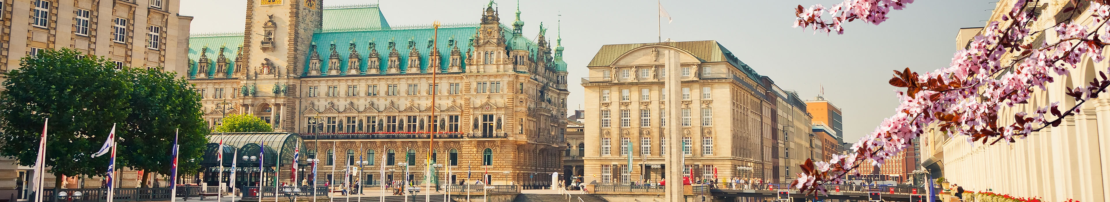 Hamburger Rathaus und Alster im Frühling