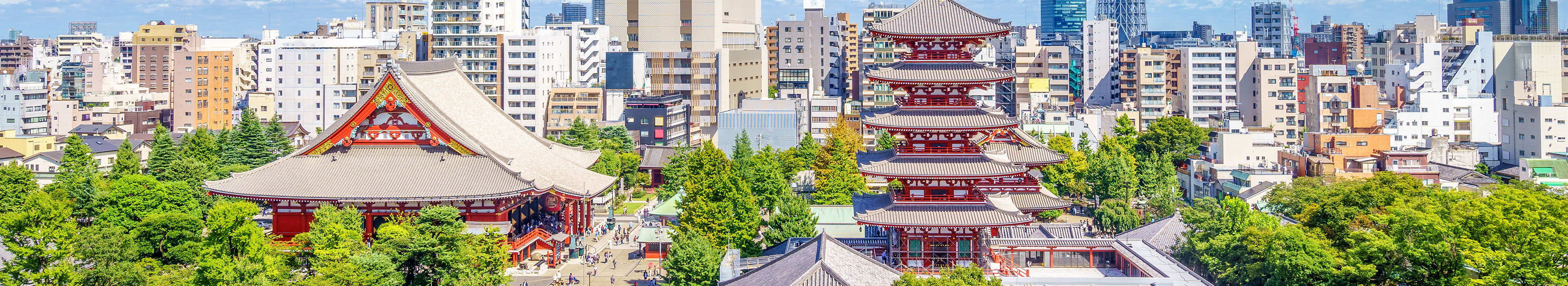 Luftaufnahme der Stadt Tokio mit Senso-Tempel
