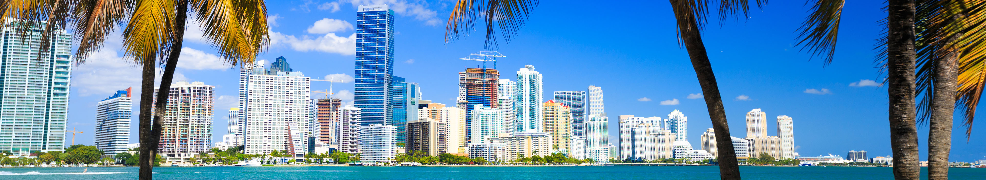 Palmen vor der Skyline von Miami, Florida.