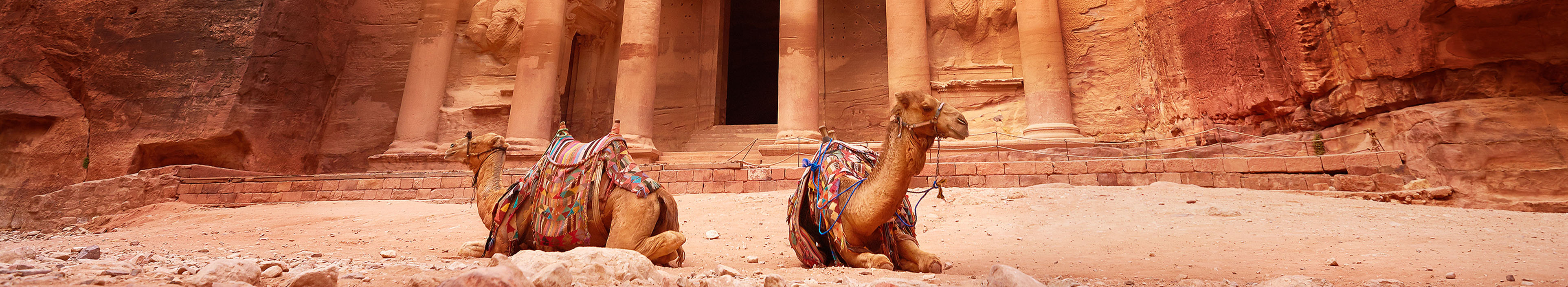 Kamele in der Ruinenstätte Petra in Jordanien.