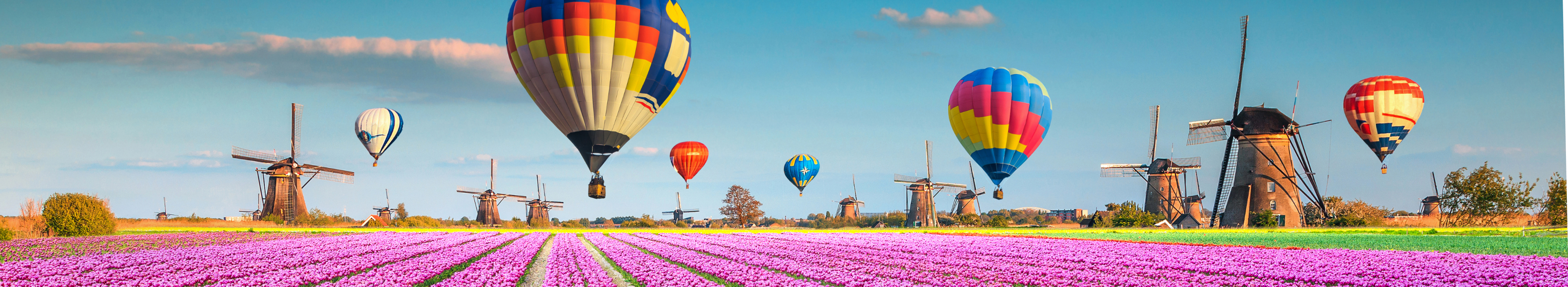 Rosa Tulpenfelder mit Windmühlen und Heißluftballons, Niederlande
