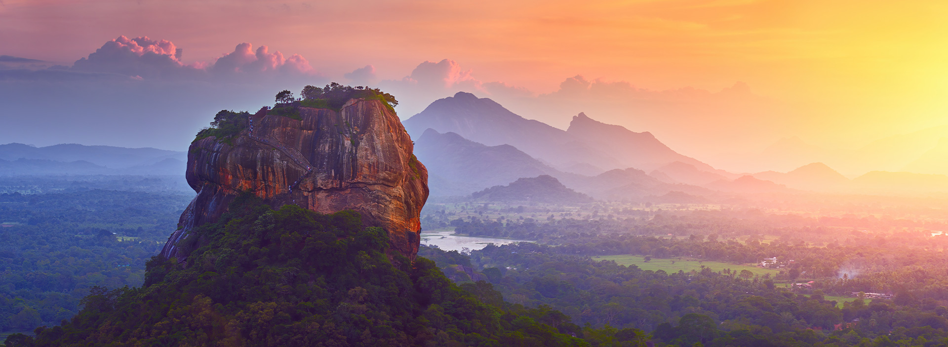 Der Dschungel von Sri Lanka